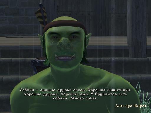 Elder Scrolls IV: Oblivion, The - Дневник имперского гастарбайтера. Том третий.